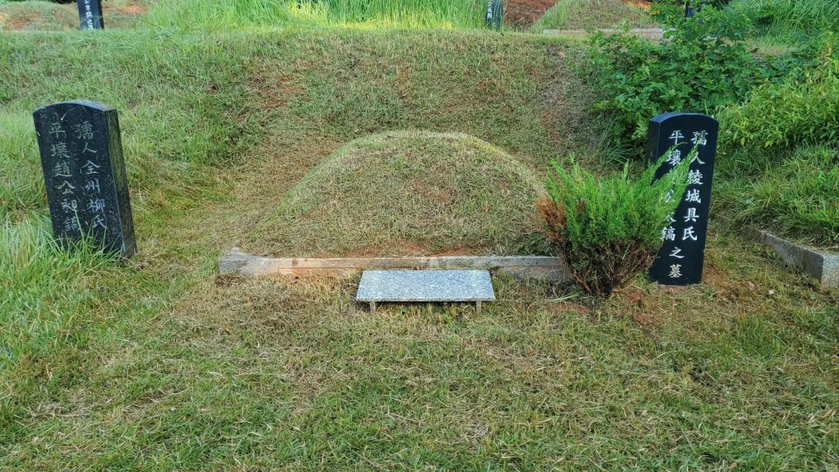 벌초대행