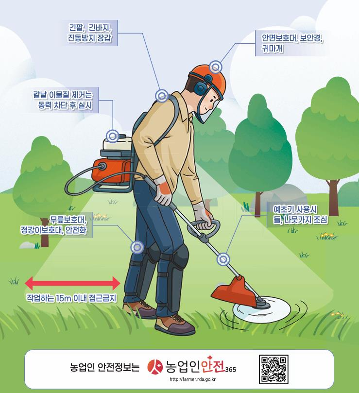 벌초