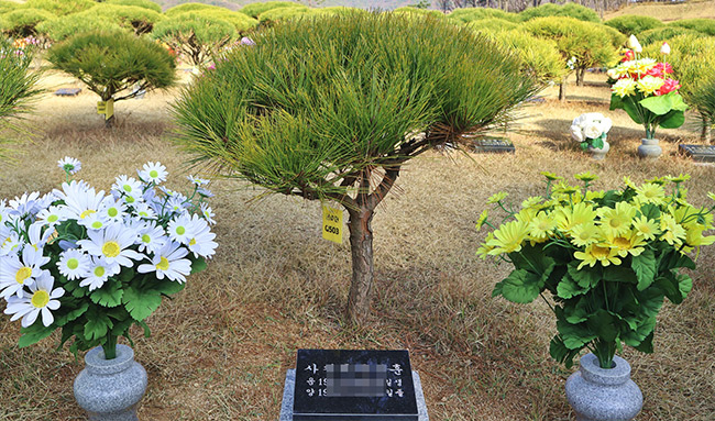 자연장
