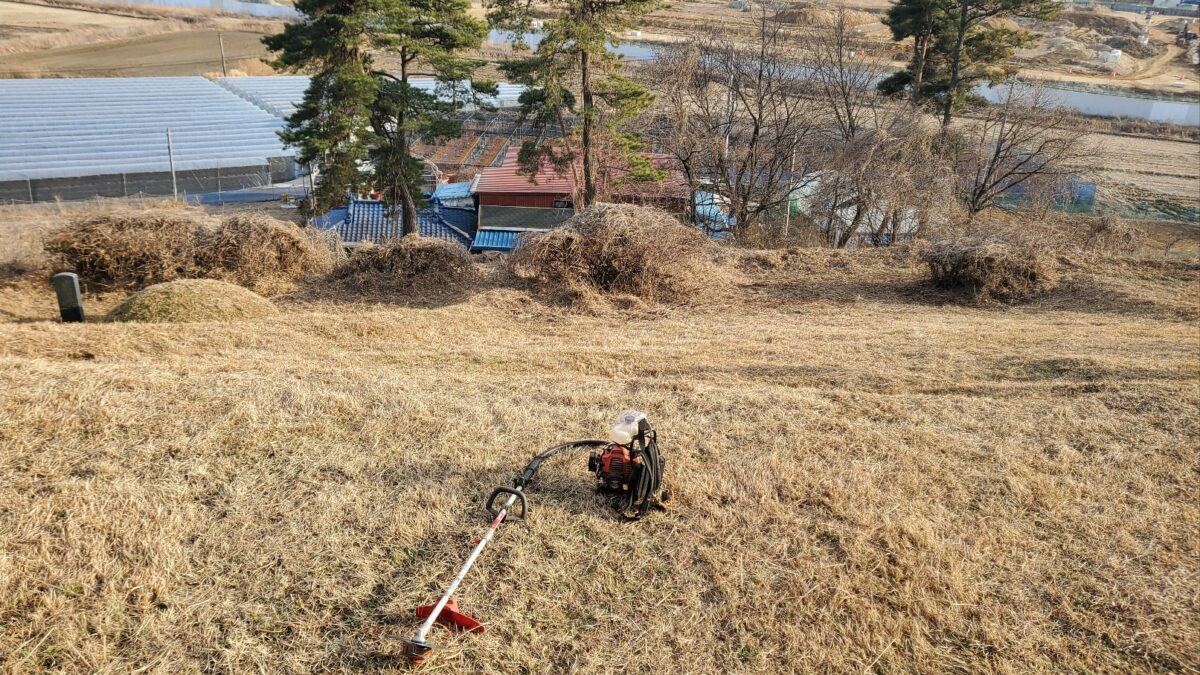 벌초 시기