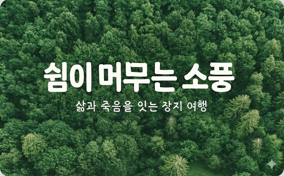 쉼이 머무는 소풍