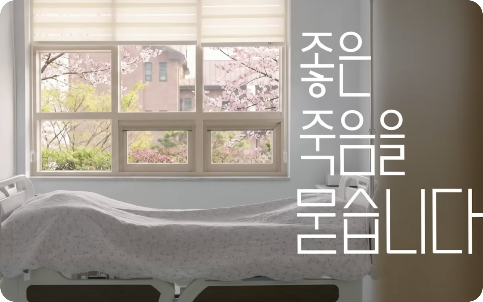 좋은 죽음을 묻습니다